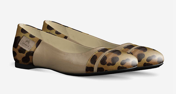 Minimal Ballerina Flats