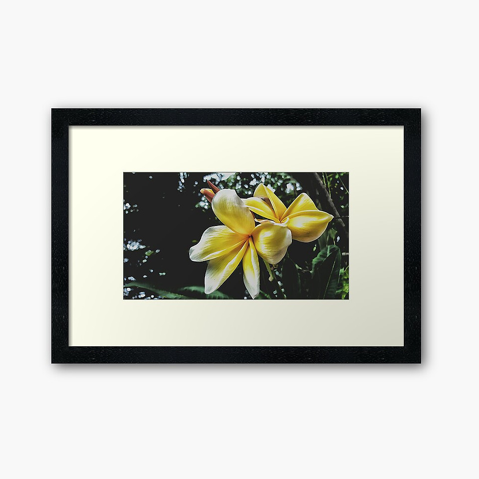 ($95.50) Framed Art Print: Delicate Holds True