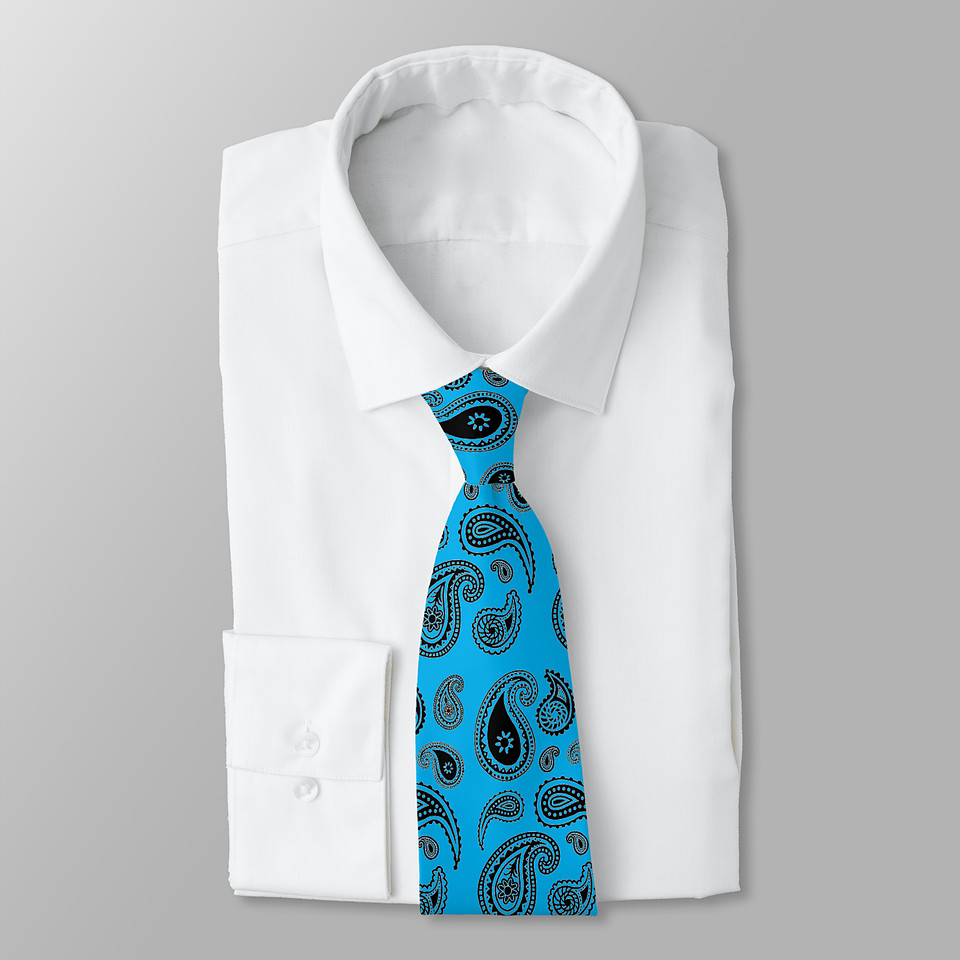 ($40.90) Neck Tie: Paisley Playa