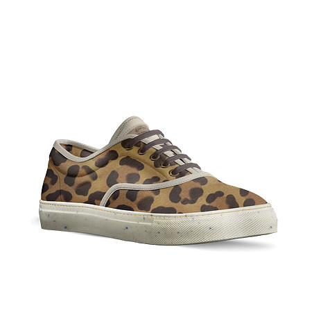 Classic Skater Shoes: Levito
