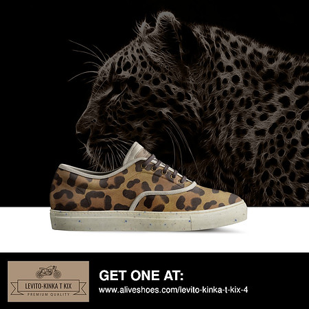 Classic Skater Shoes: Levito