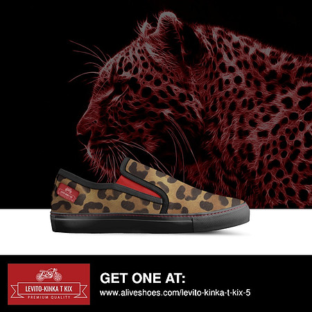 Traditional Slip-On Sneakers: Levito