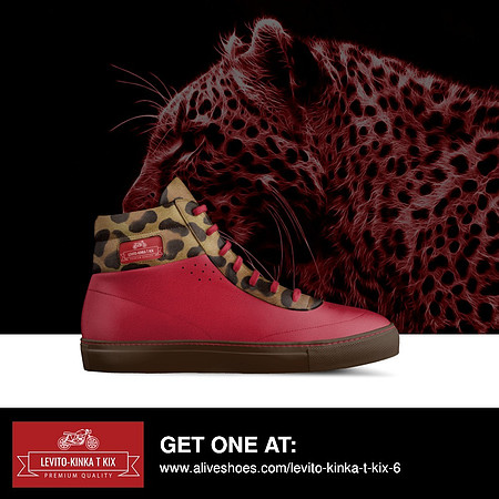 Vintage High Top Shoes: Levito