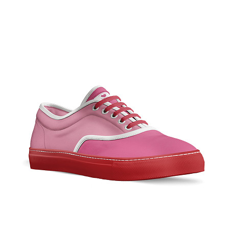 Classic Skater Shoes: Vale'T
