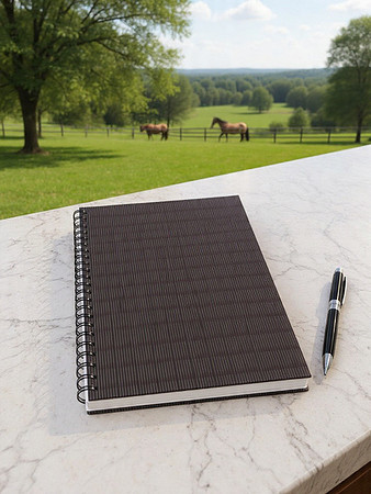 Spiral Notebook: Winston