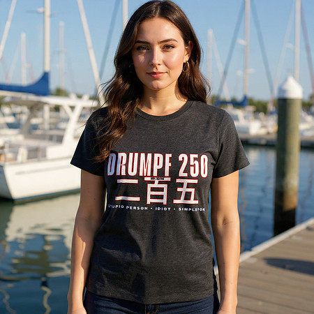 Drumpf 250 二百五 : Stupid Person Idiot Simpleton: Bella+Canvas Tri-blend T-Shirt (Charcoal Black)