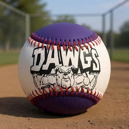 Dawgs: Hand-Stitched Baseball