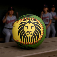 Roar: Hand-Stitched Baseball