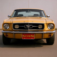 'Bout To Get Rilla: License Plate