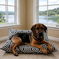 Pet Beds