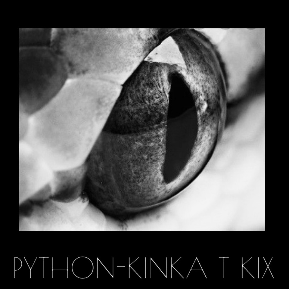 Python