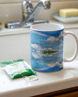 The Reflecting Rainbow: Coffee Mug