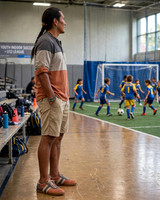 Indoor Soccer Style Striped Shoes: B3AR