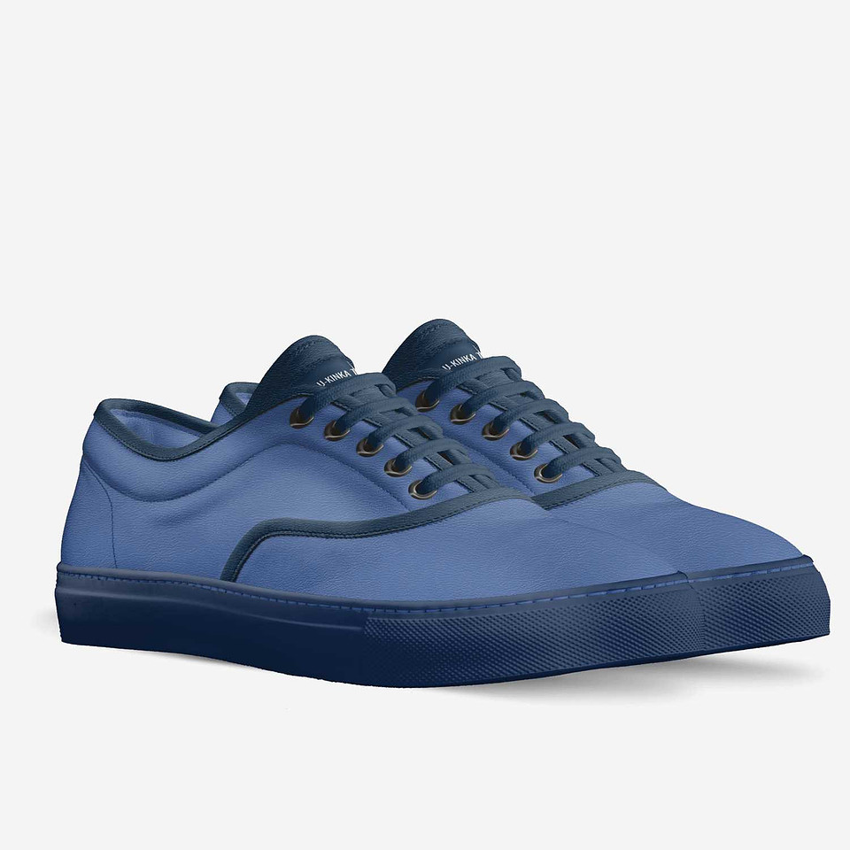 Classic Skater Shoes: Colu