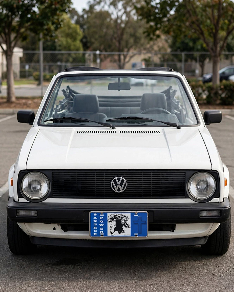Panther Power: Custom License Plate