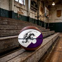 Hand-Stitched Basketball: D-Baller