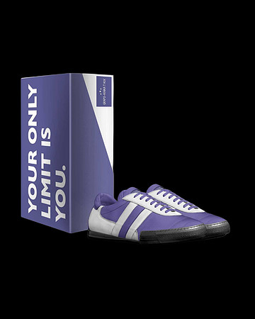 Indoor Soccer Style Striped Shoes: Grapo