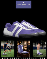 Indoor Soccer Style Striped Shoes: Grapo