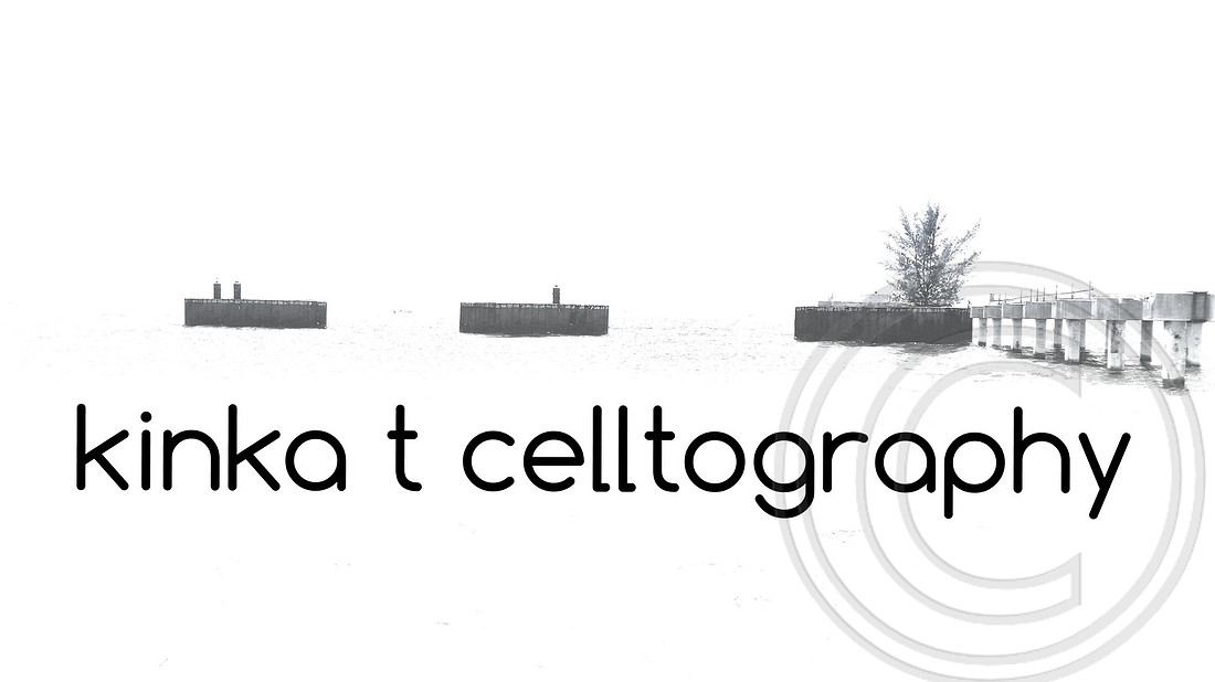 Kinka T Celltography